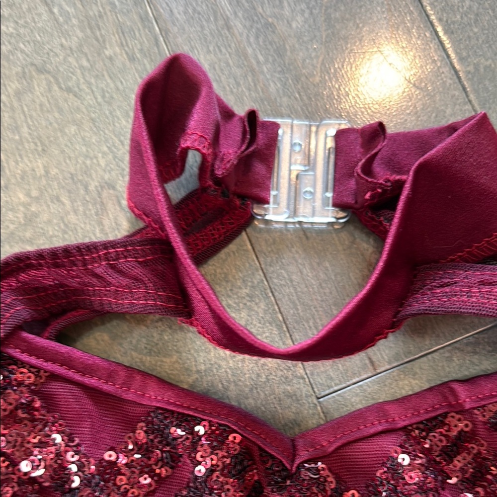 Set of 2 Dance Costumes- Burgundy Sequin Bodysuits - Picture 6 of 10